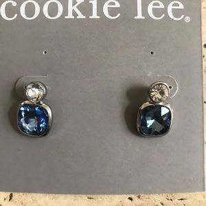 Blue and silver earrings